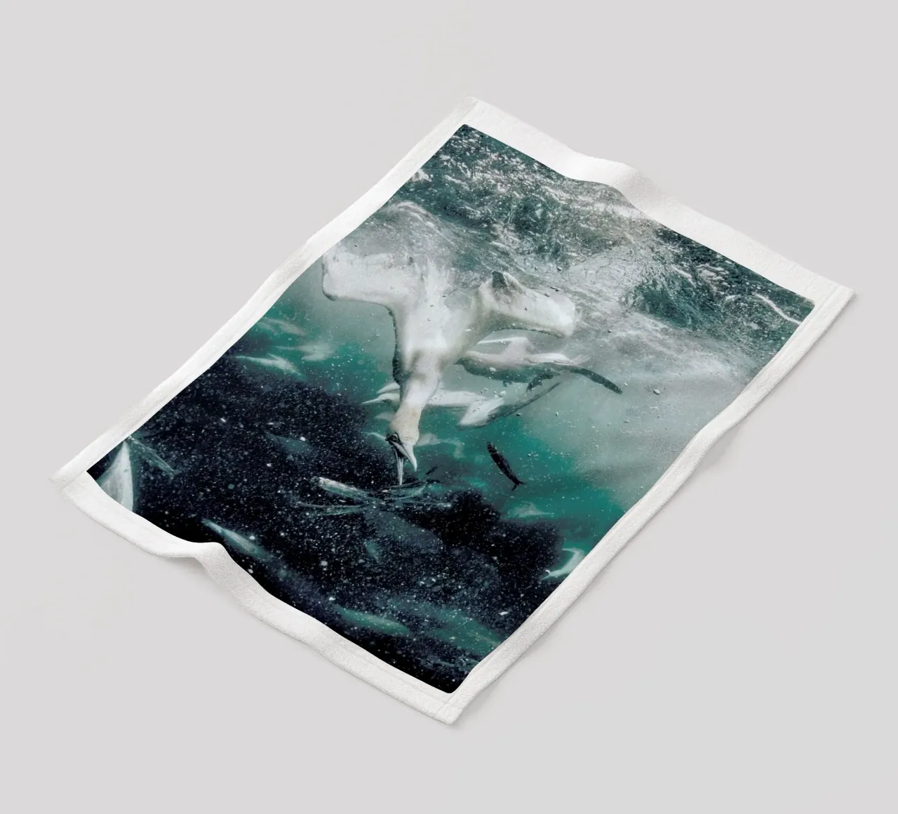 Battle by @JimmySong1 coperta in pile da EyeEm Mobile GmbH