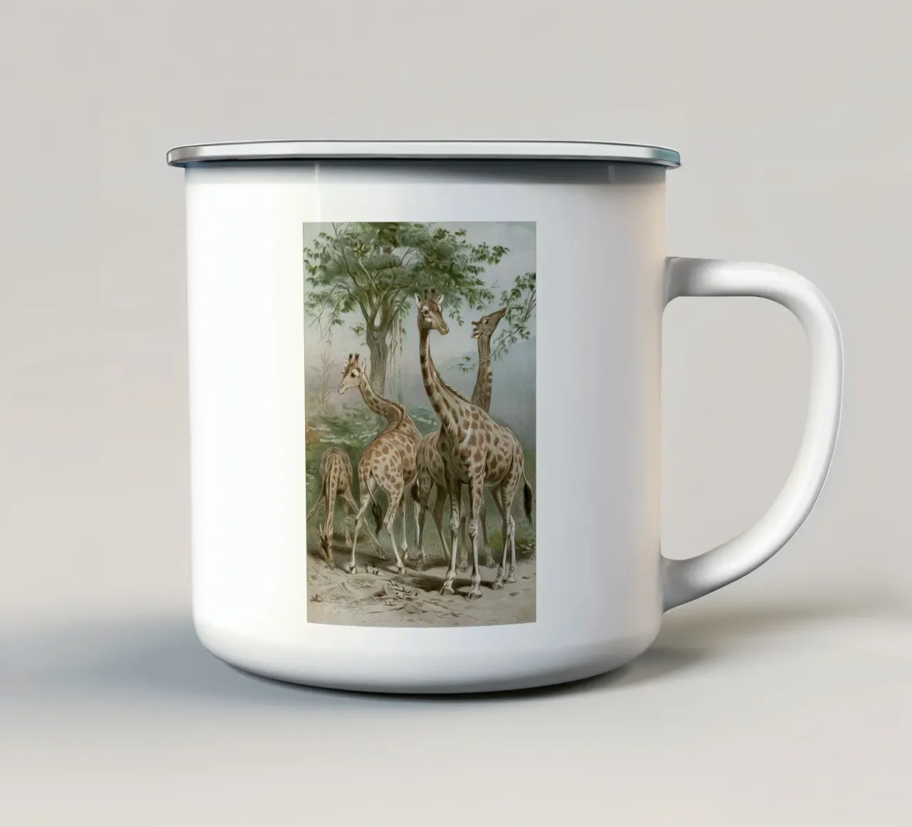 Vintage Brehm 1 Giraffe tazza in smalto da Vintage Print Collection