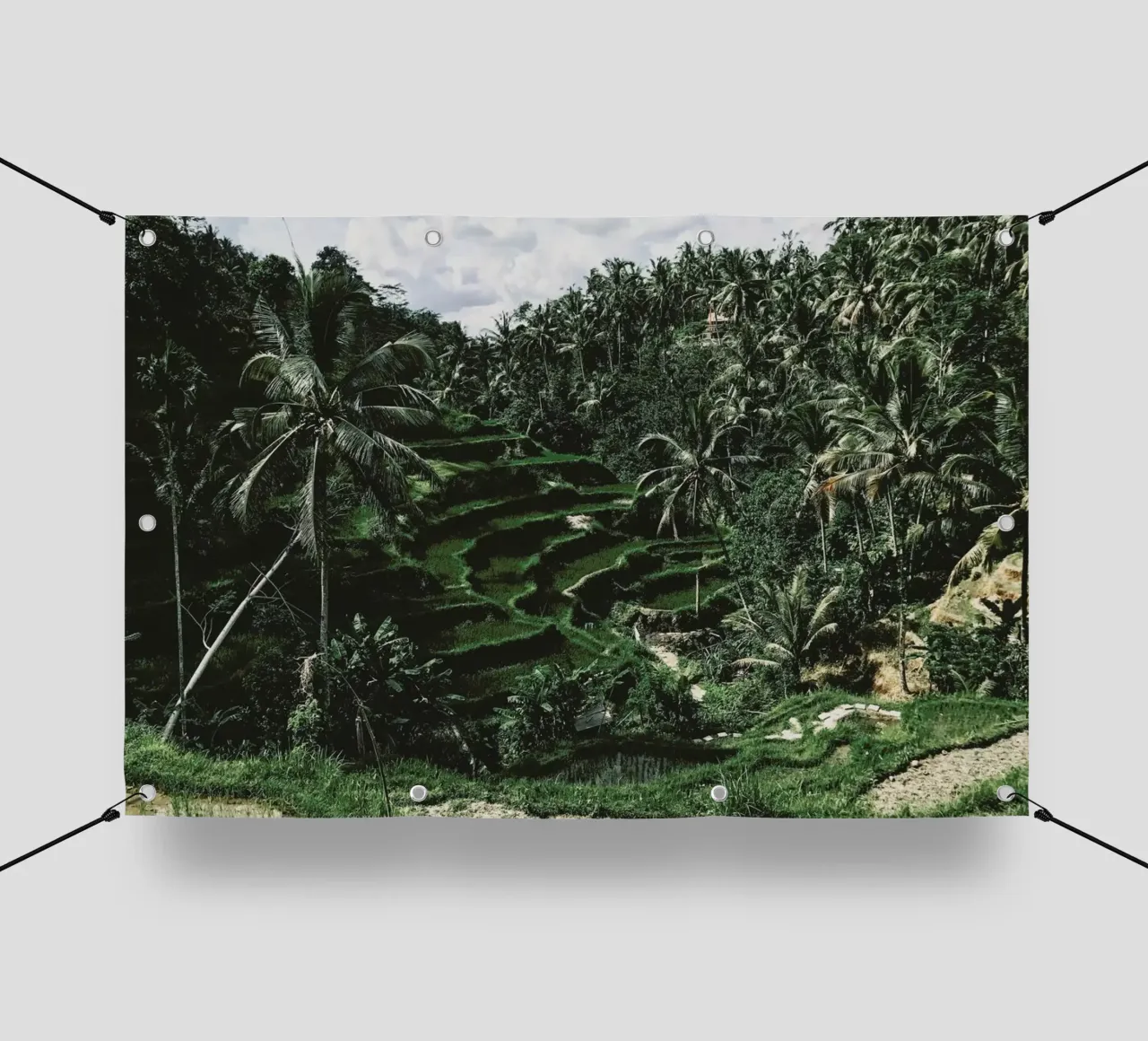 Bali telo in pvc da Ingrid Beddoes