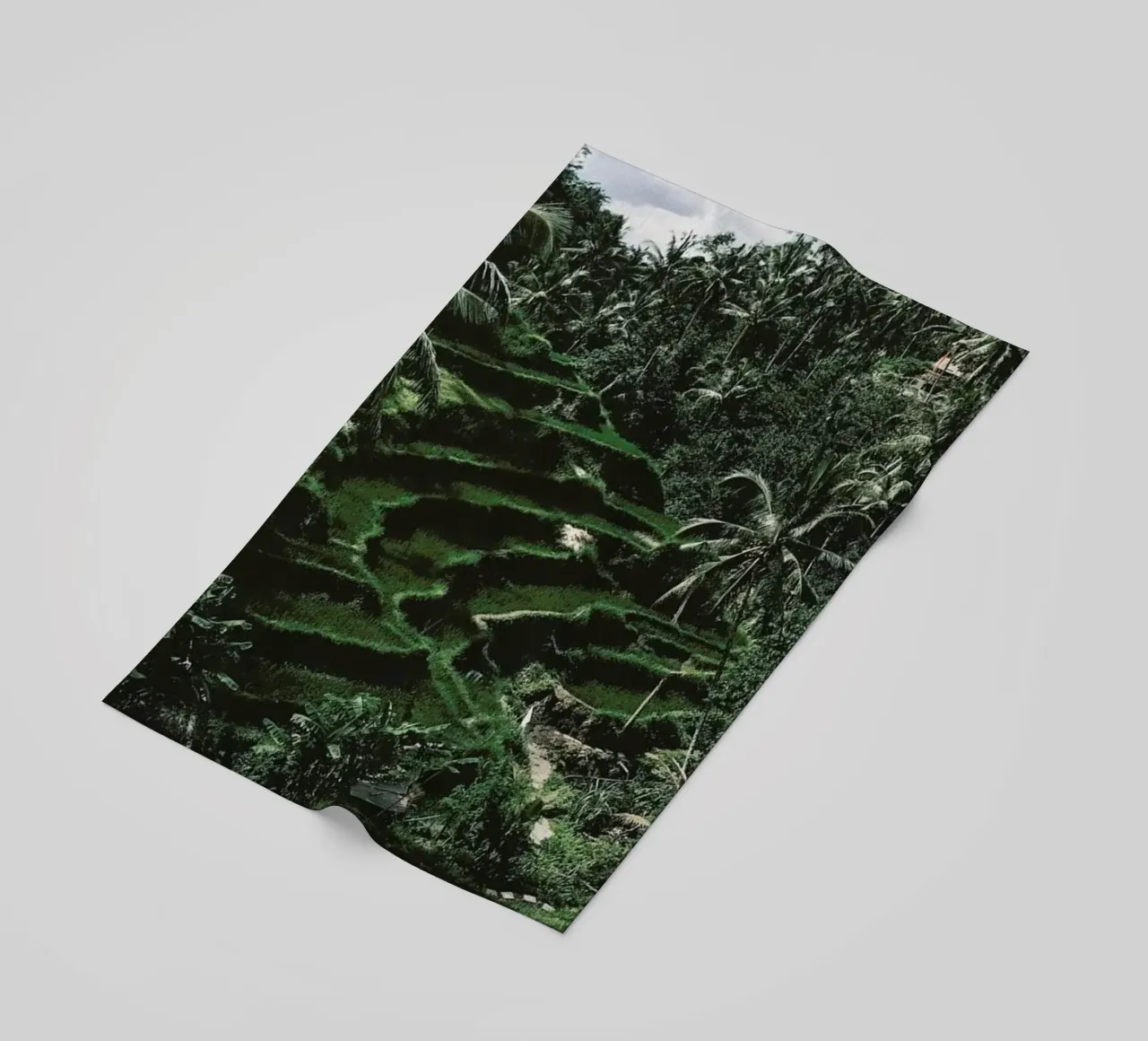 Bali telo mare da Ingrid Beddoes