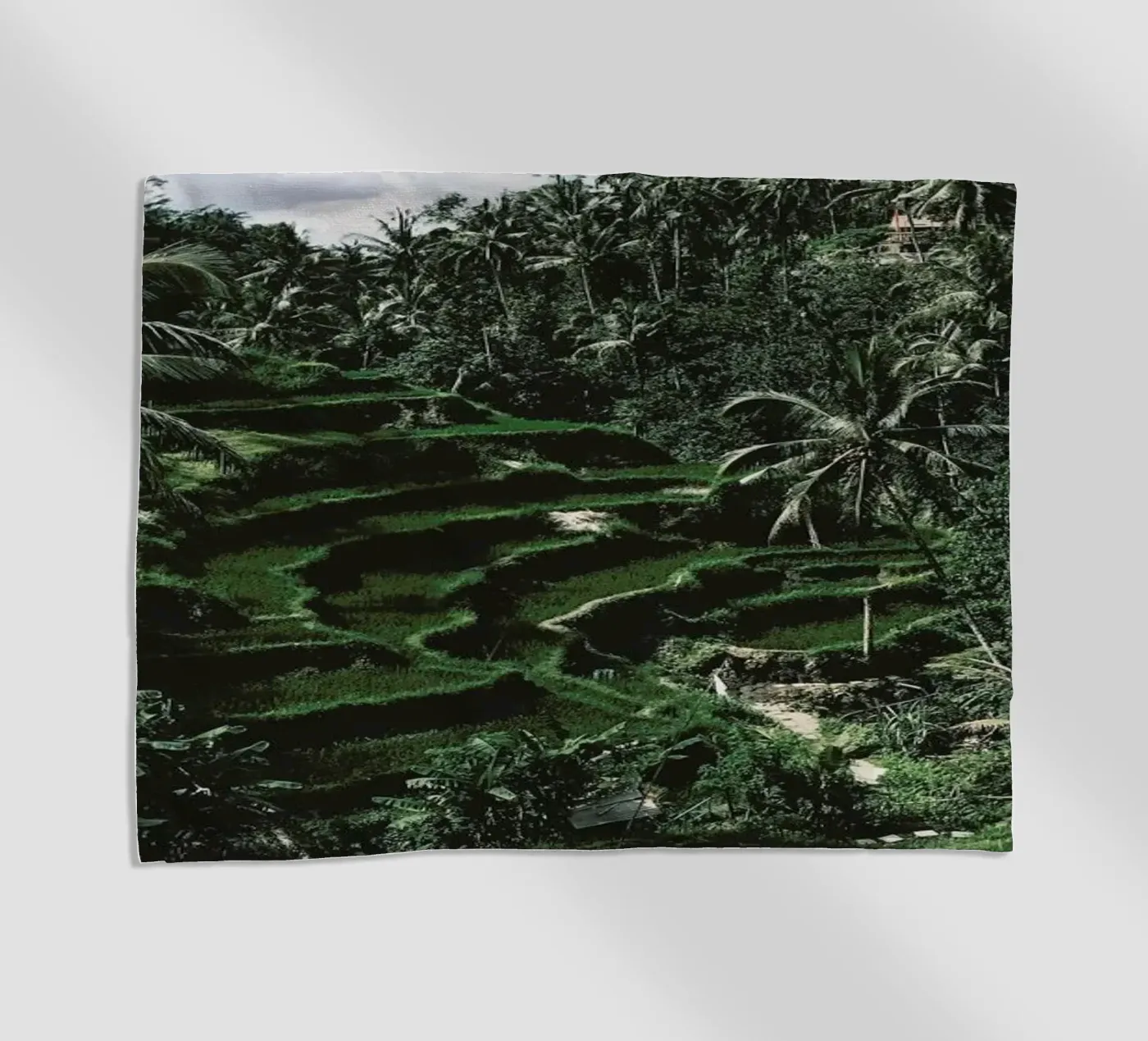 Bali telo mare da Ingrid Beddoes