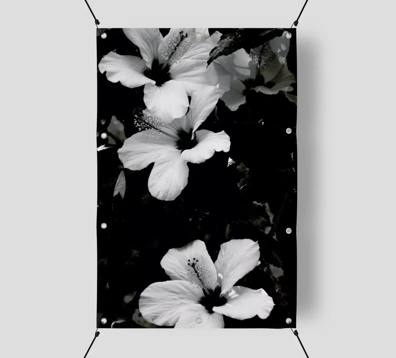 Hibiscus telo in pvc da Ingrid Beddoes