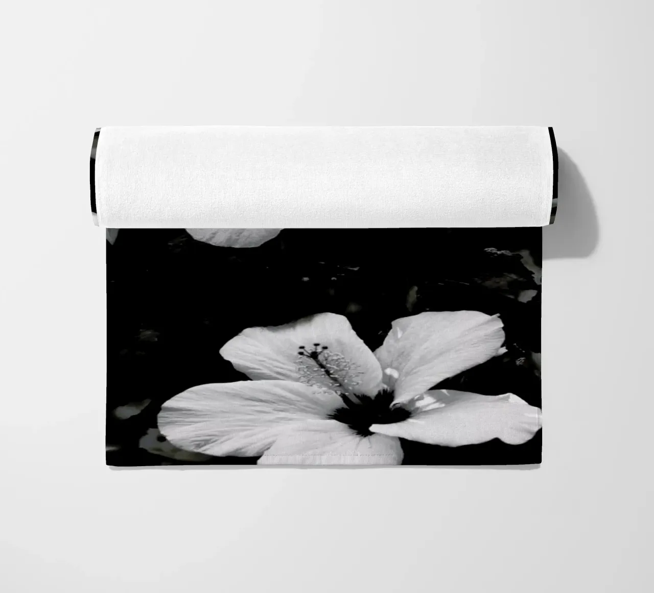 Hibiscus telo mare da Ingrid Beddoes