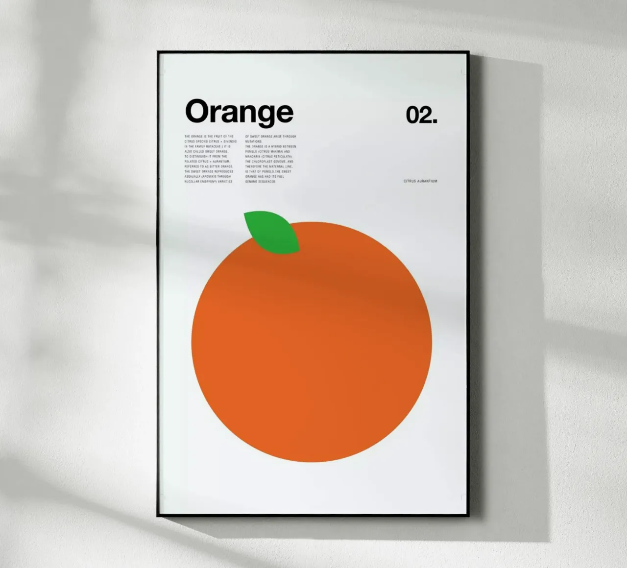 Orange plexiglass da Nick Barclay