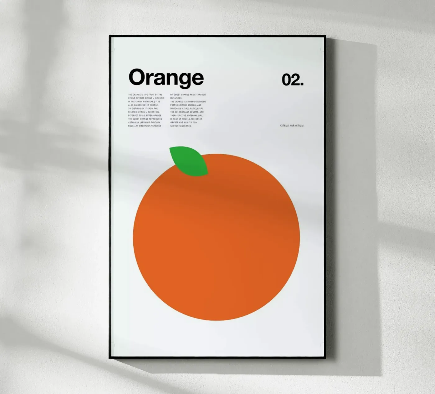 Orange plexiglas de Nick Barclay