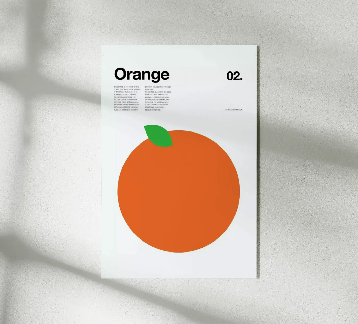 Orange plexiglas de Nick Barclay