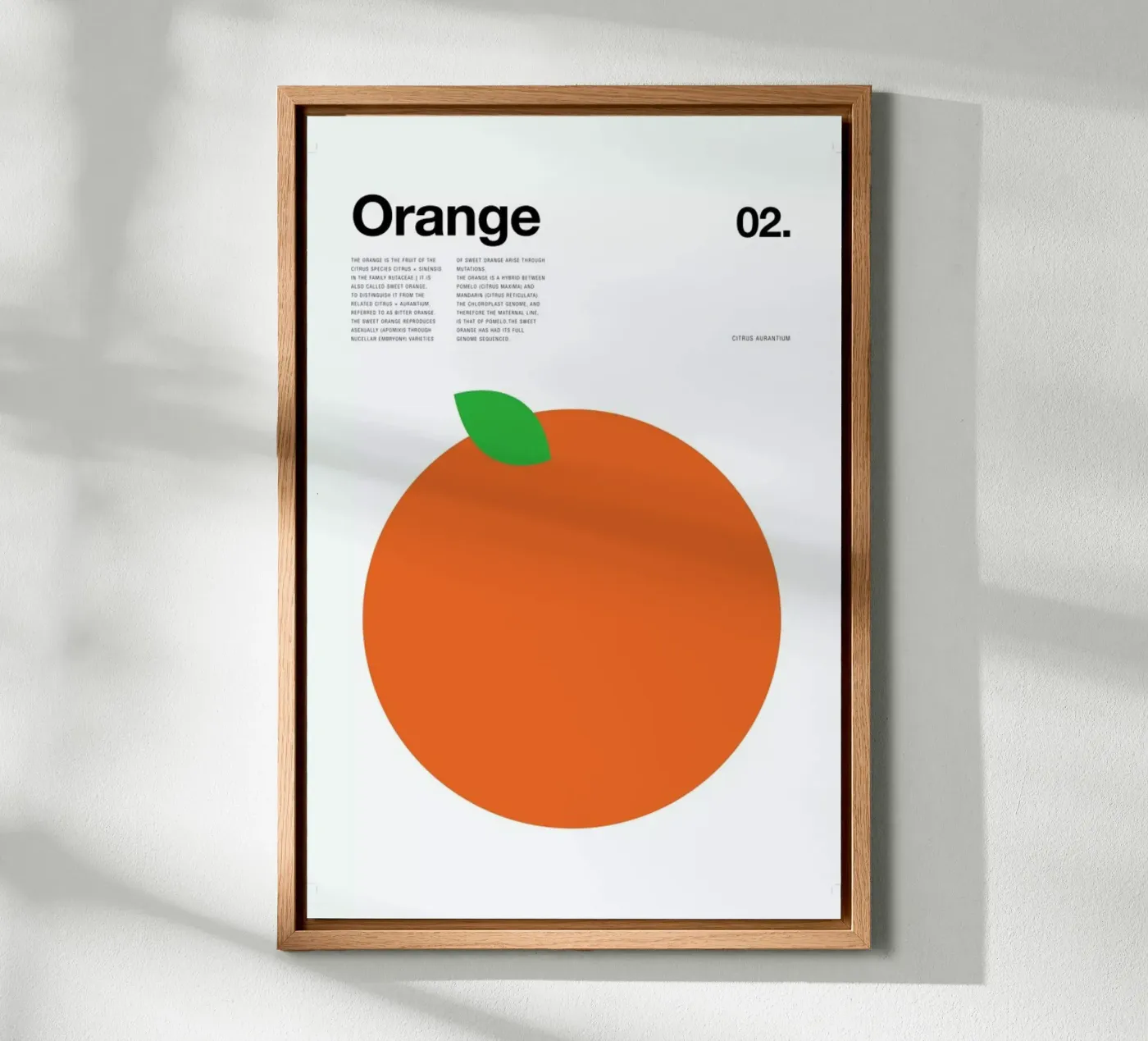 Orange pannello forex da Nick Barclay