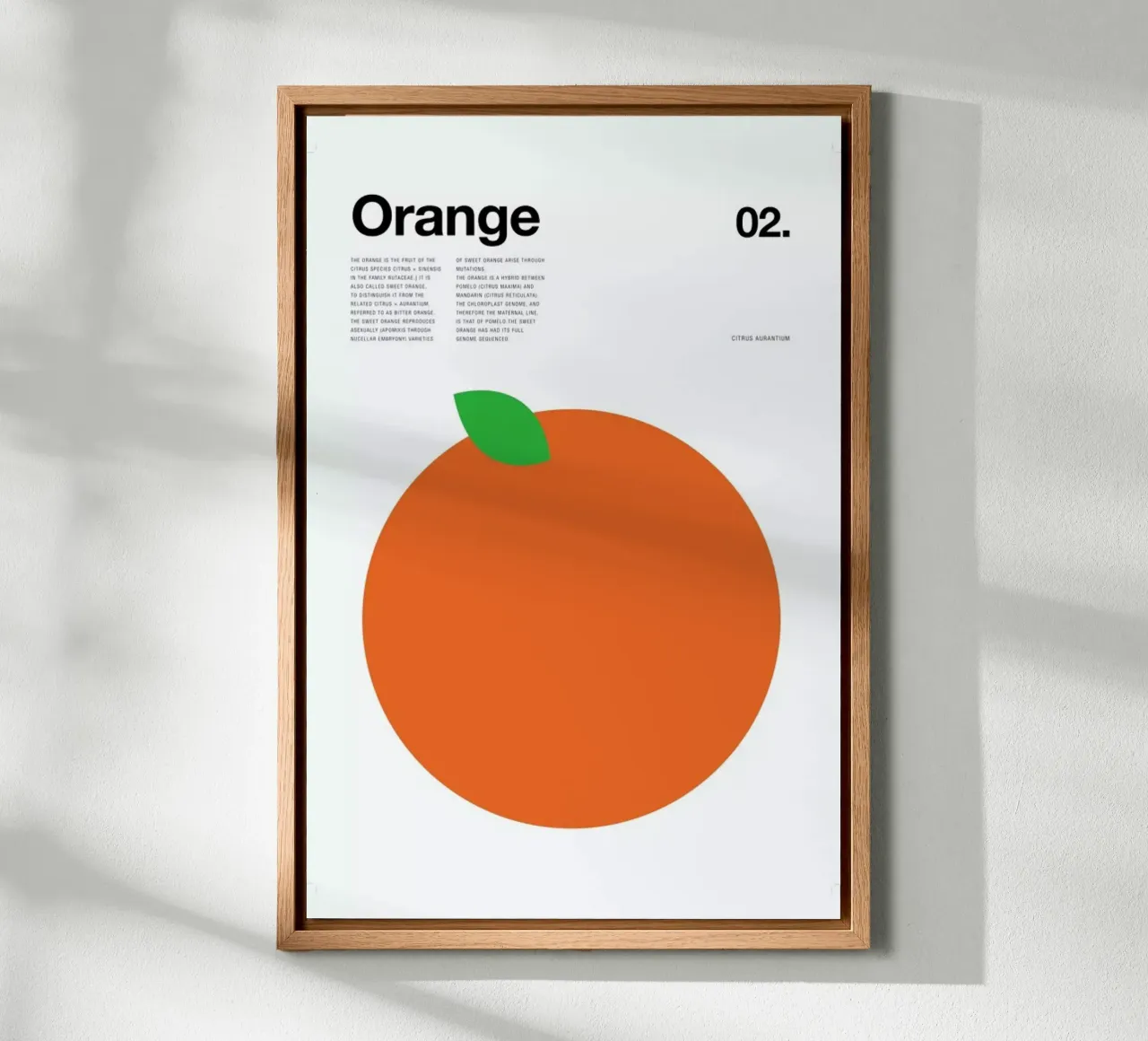Orange forex plate by Nick Barclay