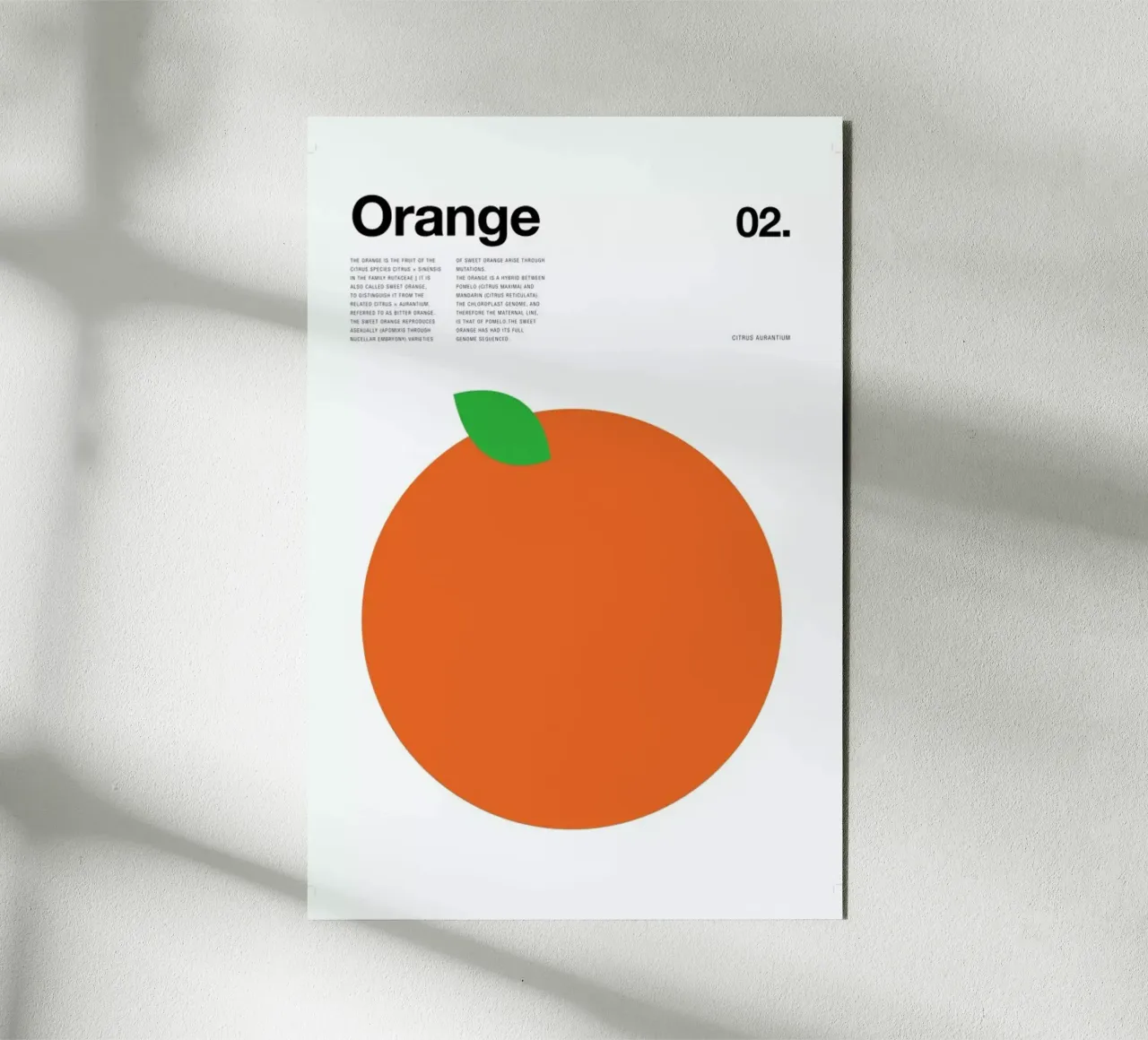 Orange forex plate by Nick Barclay