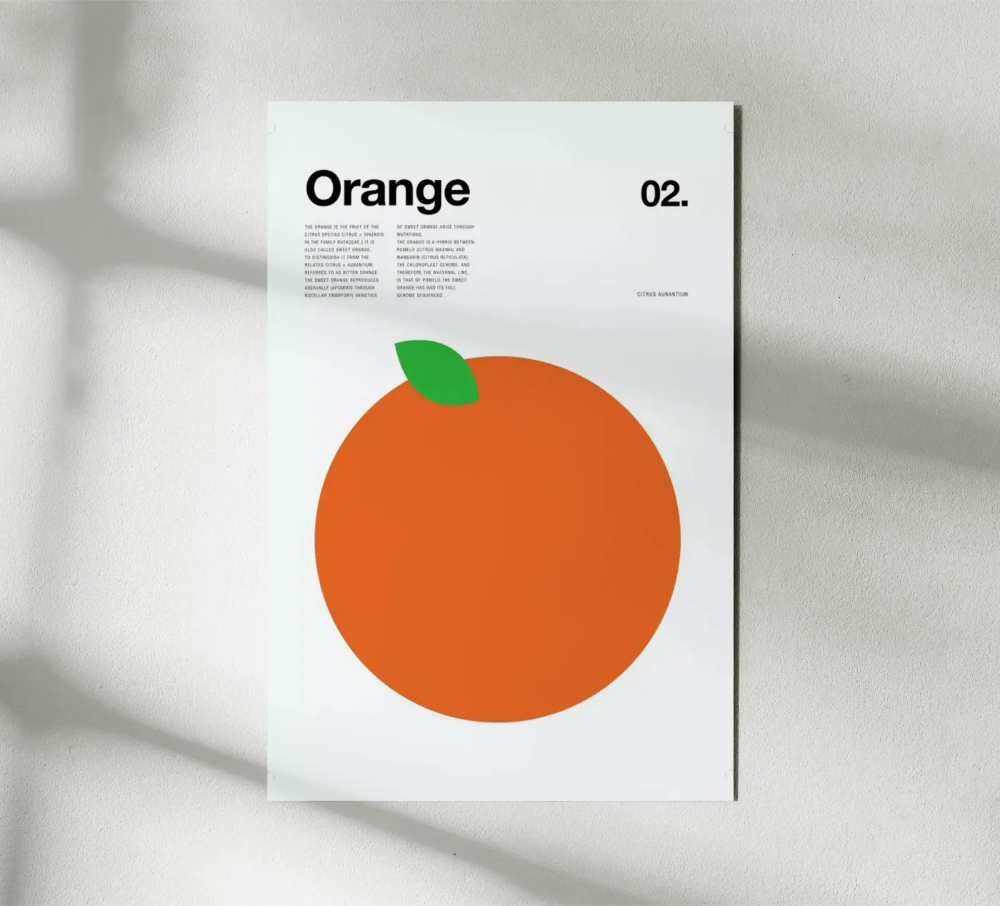 Orange pannello forex da Nick Barclay
