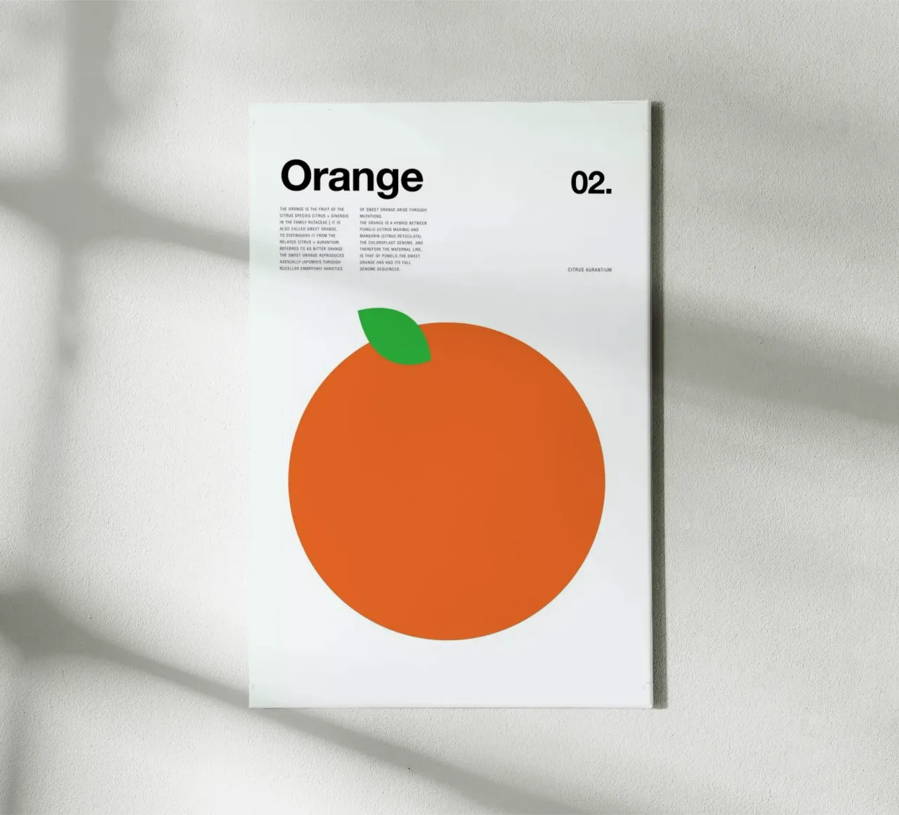 Orange tela da Nick Barclay