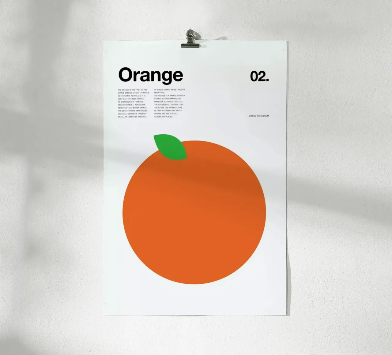 Orange poster da Nick Barclay