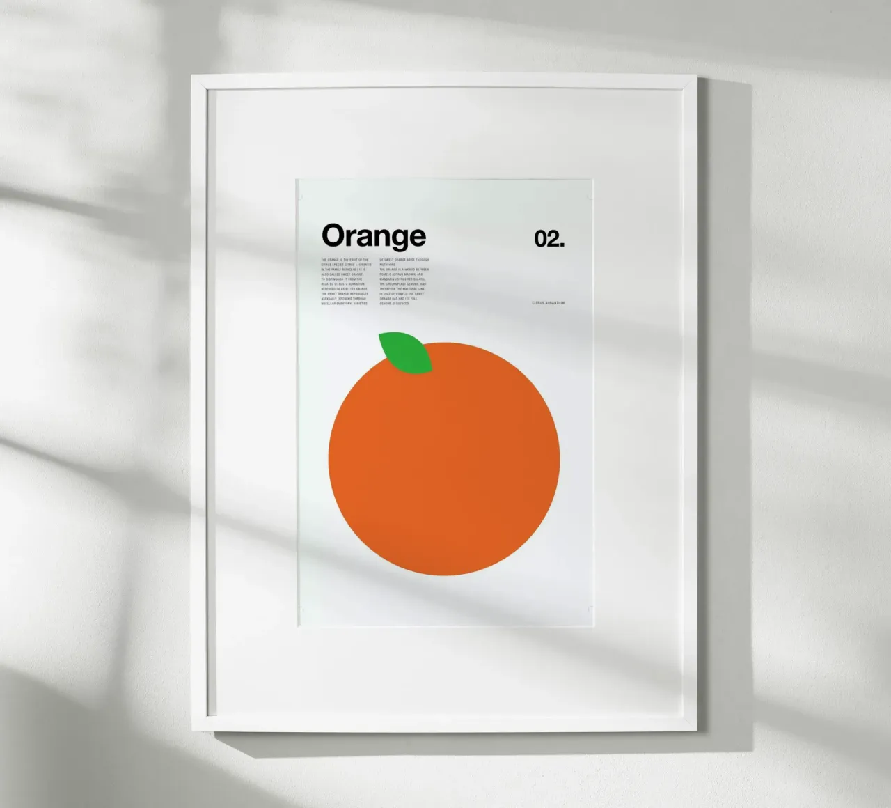 Orange poster da Nick Barclay