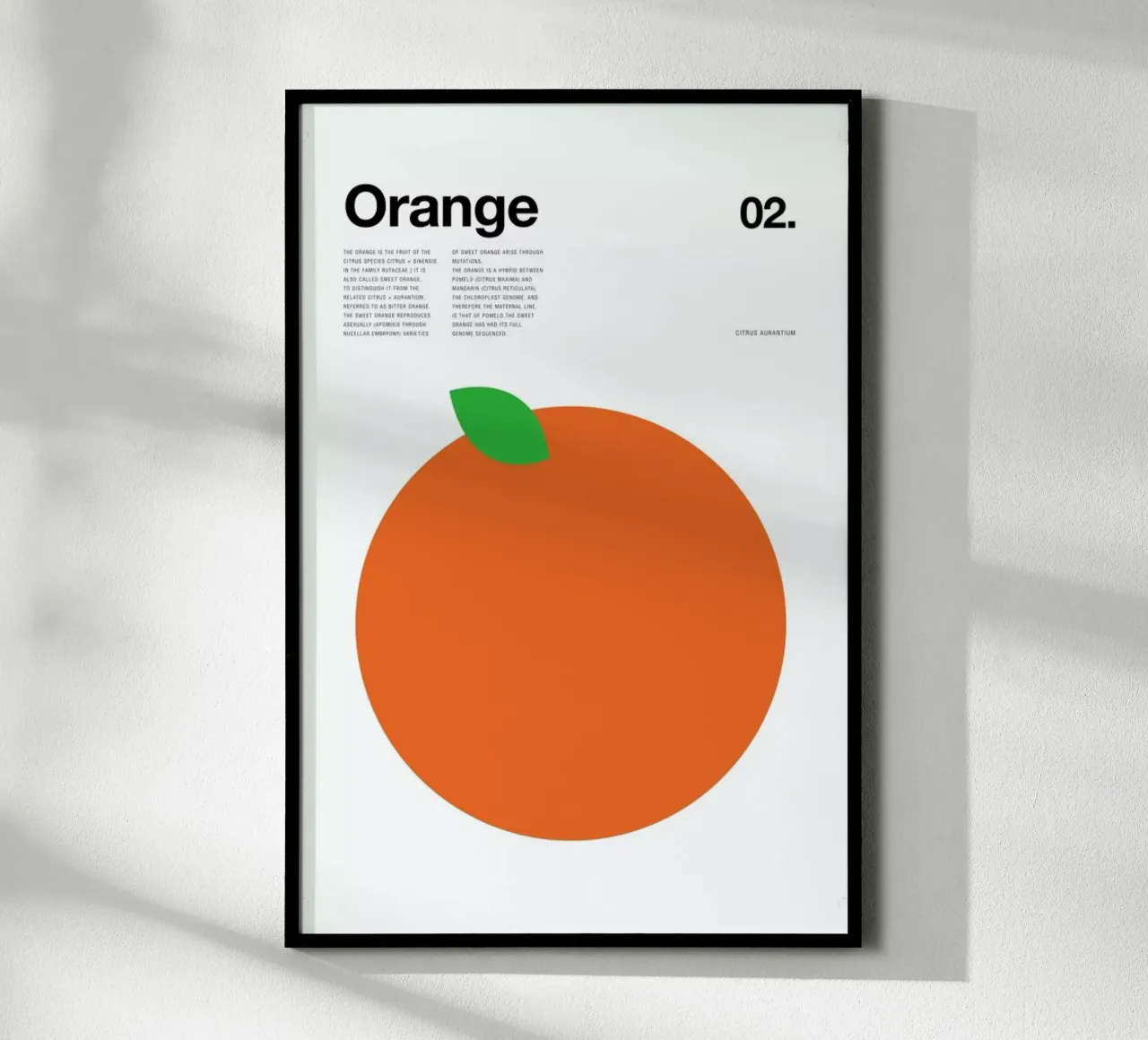 Orange poster da Nick Barclay