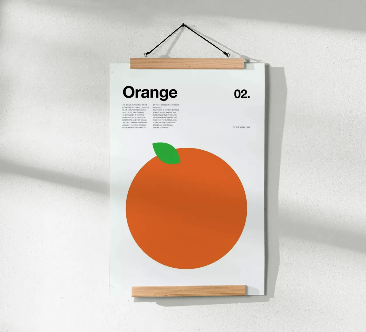 Orange poster da Nick Barclay