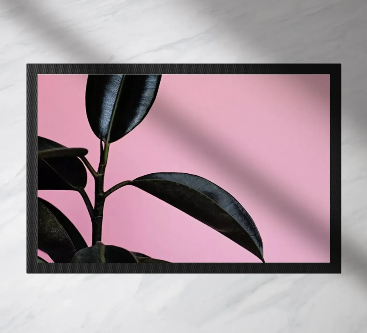 Ficus on Pink by @scottywebb zerbino da EyeEm Mobile GmbH