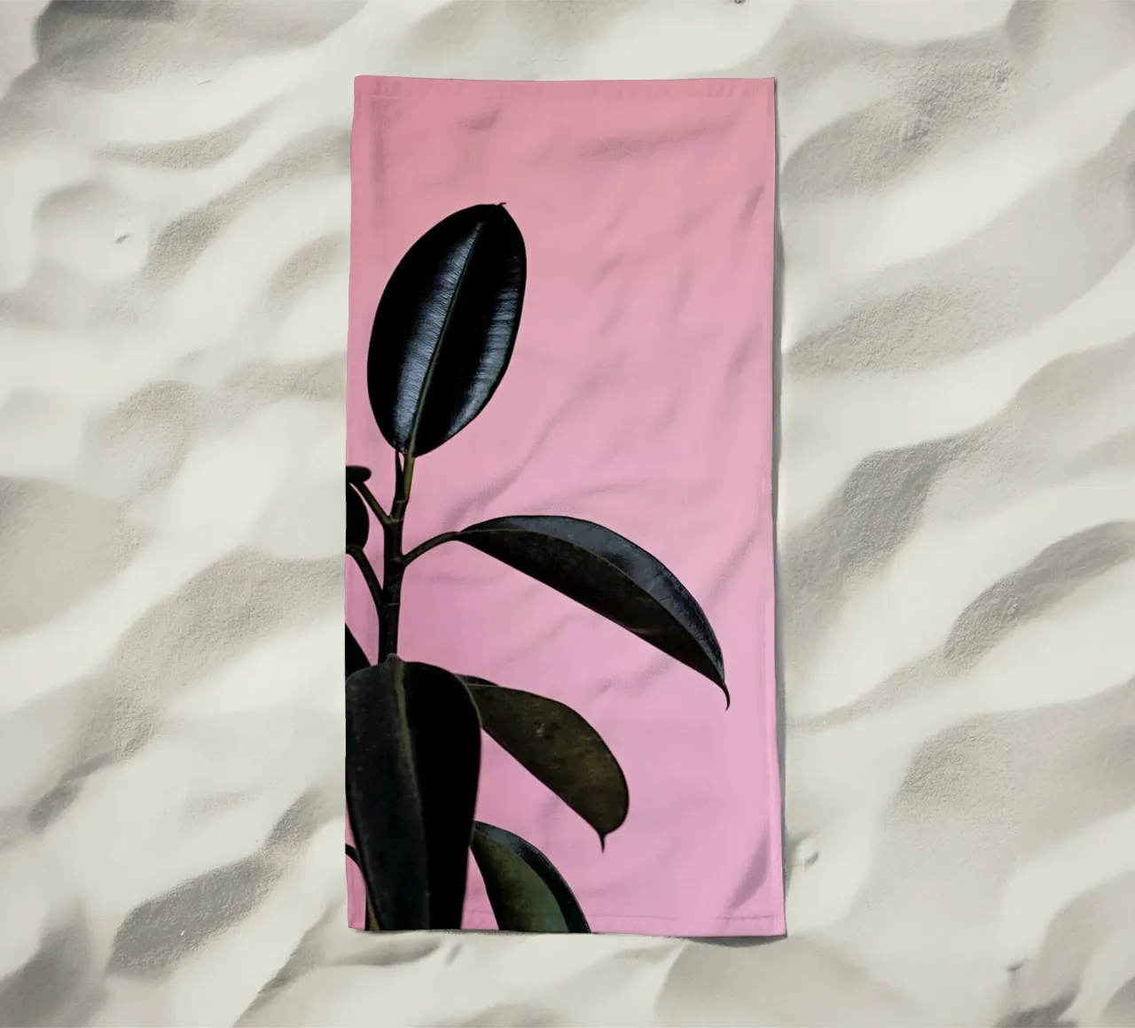 Ficus on Pink by @scottywebb telo mare da EyeEm Mobile GmbH