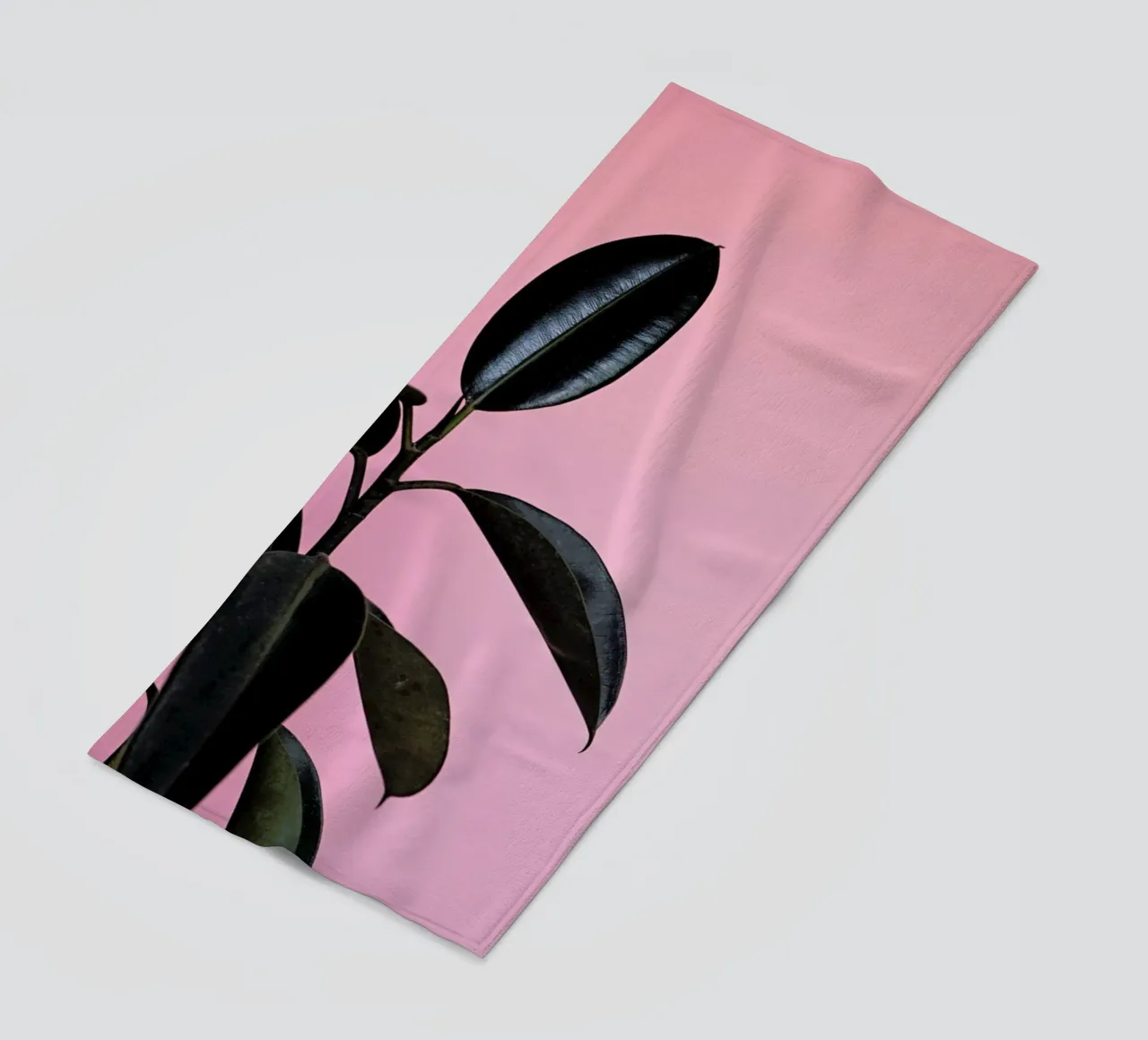 Ficus on Pink by @scottywebb telo mare da EyeEm Mobile GmbH