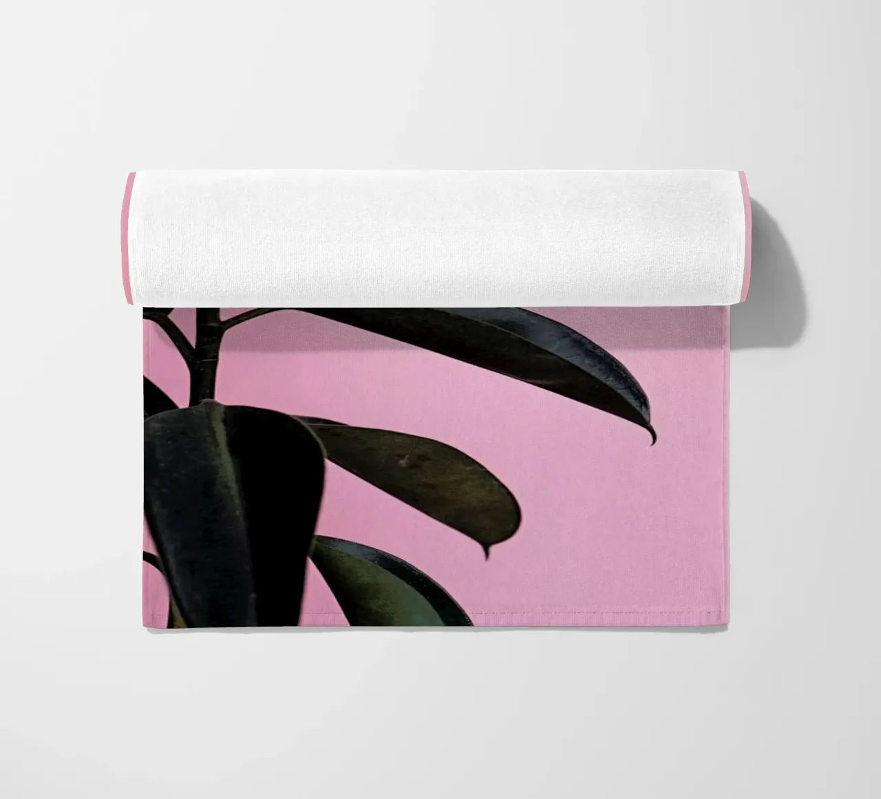 Ficus on Pink by @scottywebb telo mare da EyeEm Mobile GmbH