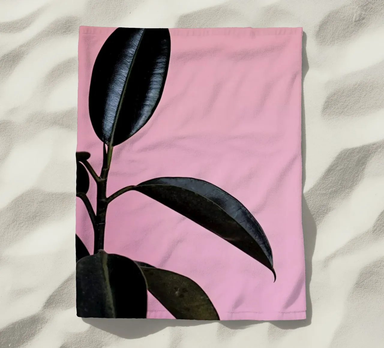 Ficus on Pink by @scottywebb telo mare da EyeEm Mobile GmbH