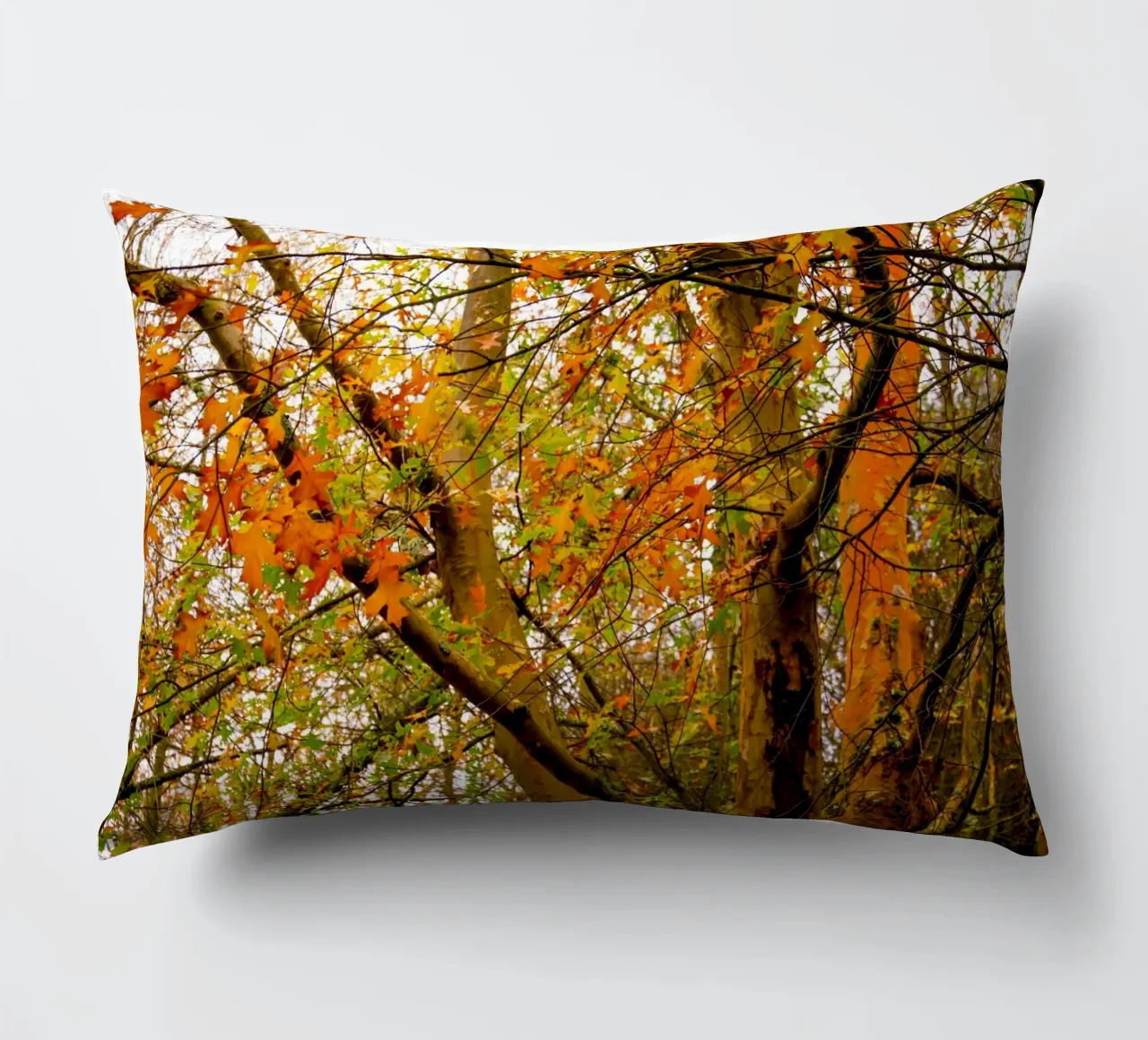 Autunno giallo e arancione cuscino da Teresa André