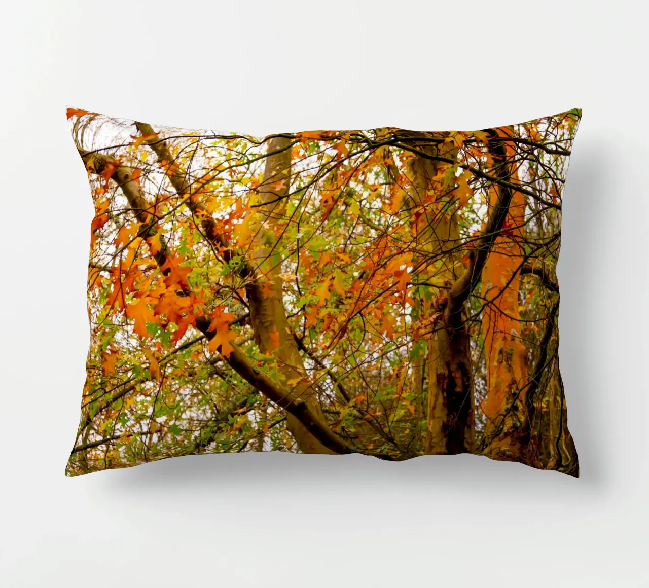 Autunno giallo e arancione cuscino da Teresa André
