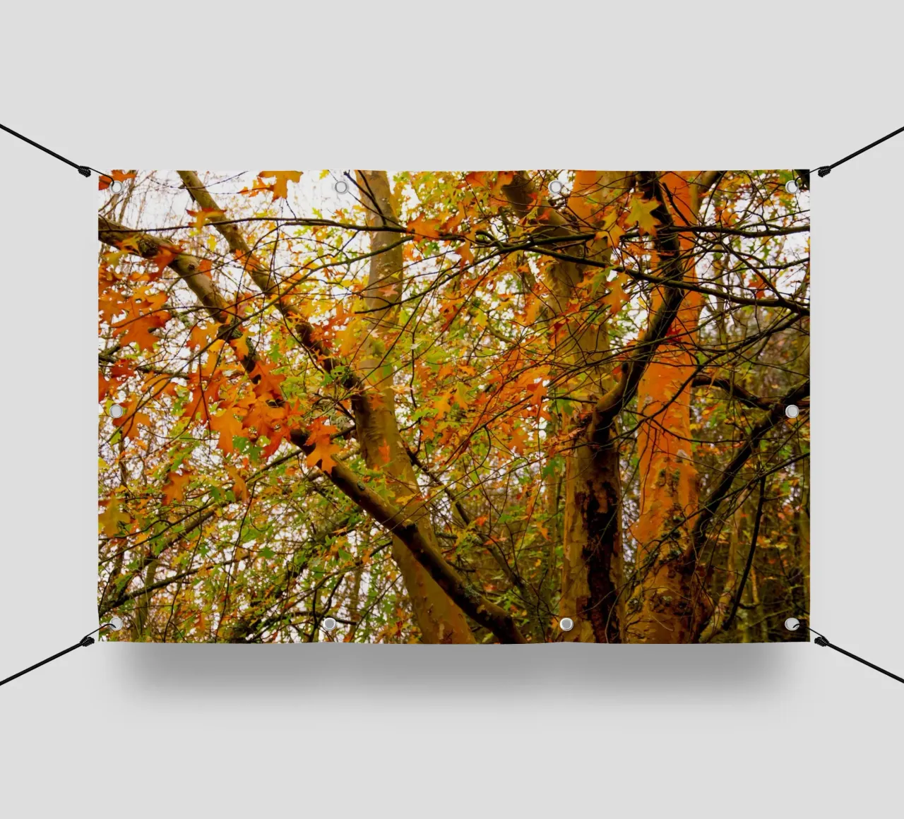 Autunno giallo e arancione telo in pvc da Teresa André