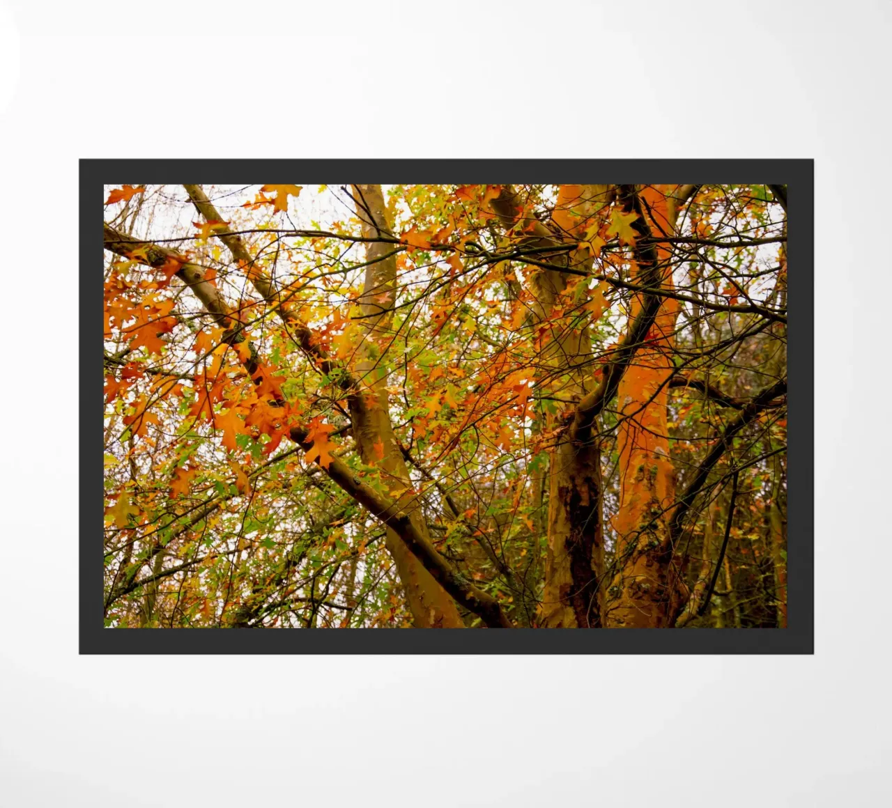Autunno giallo e arancione zerbino da Teresa André