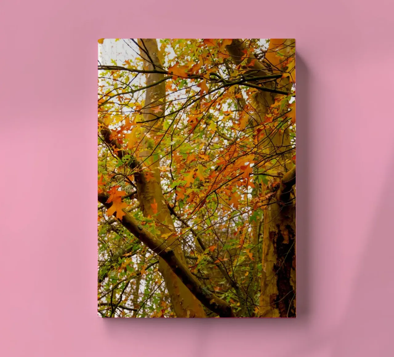 Autumn yellow and orange notebook by Teresa André