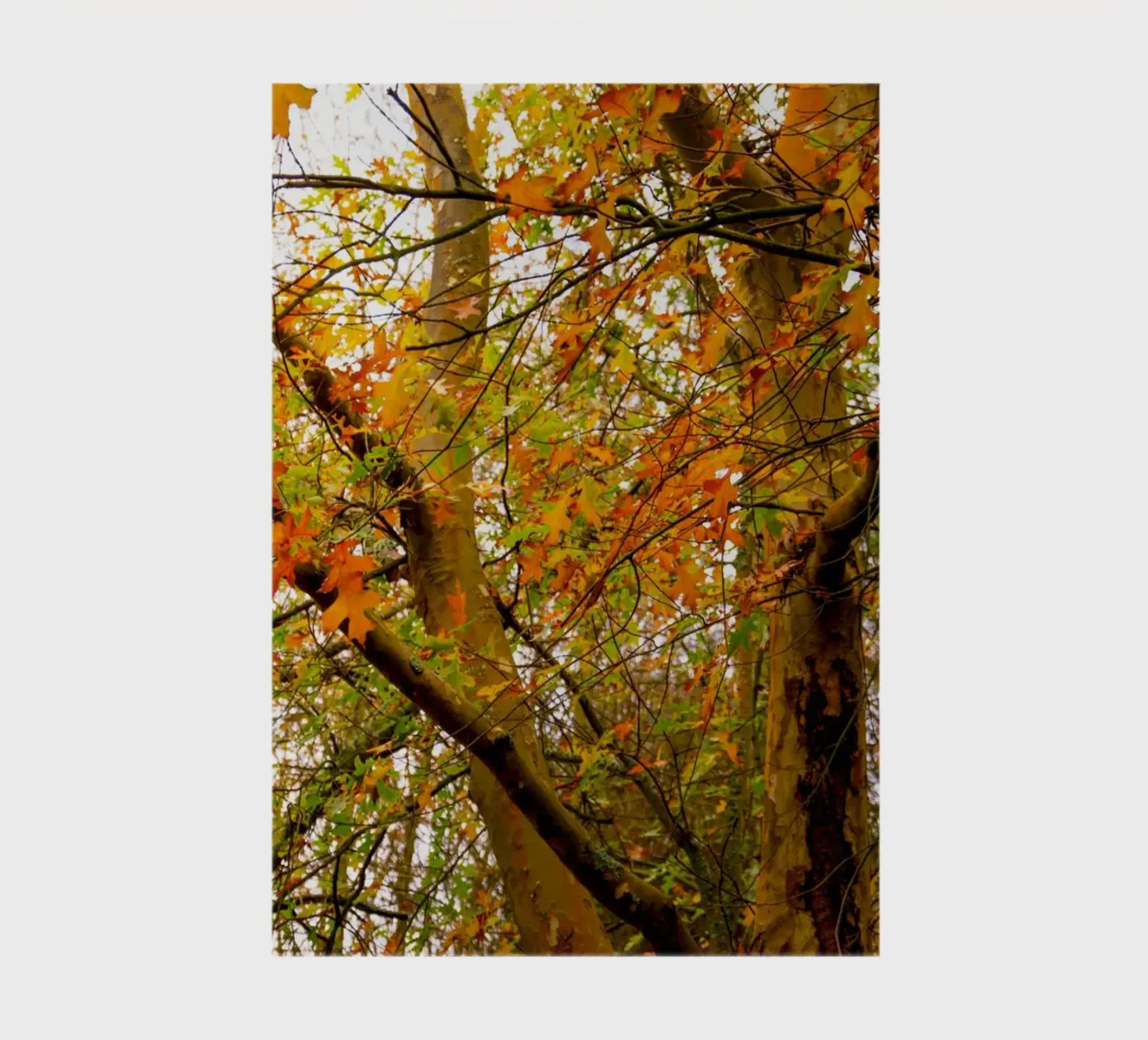 Autumn yellow and orange notebook by Teresa André