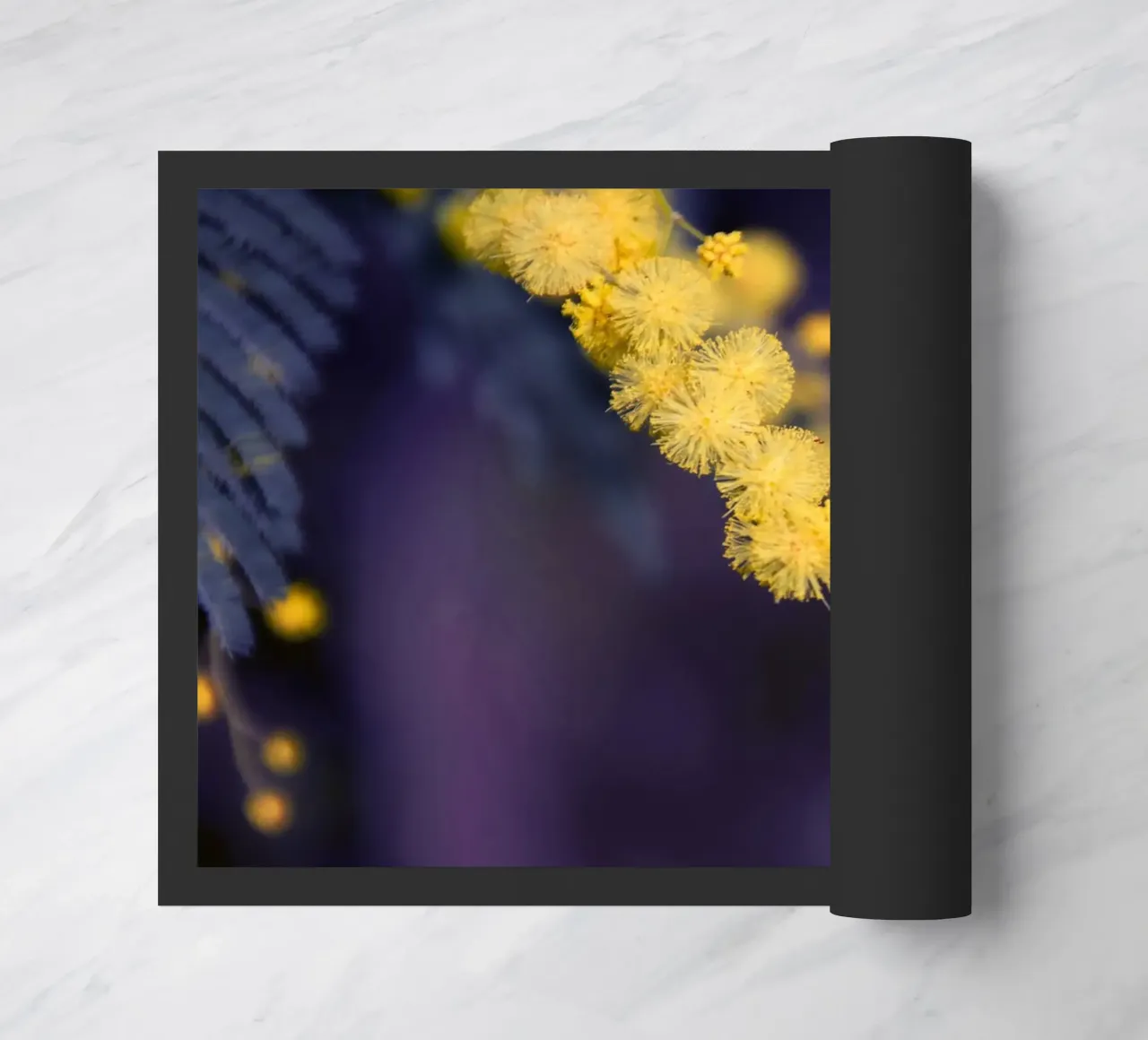 Fiore di mimosa di notte zerbino da Teresa André