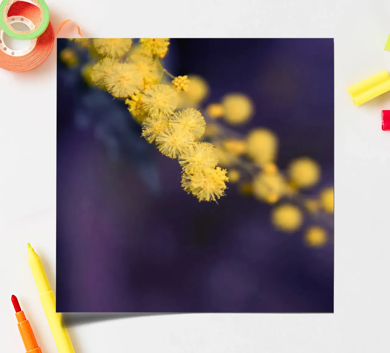 Flower mimosa at night sticker sheet by Teresa André