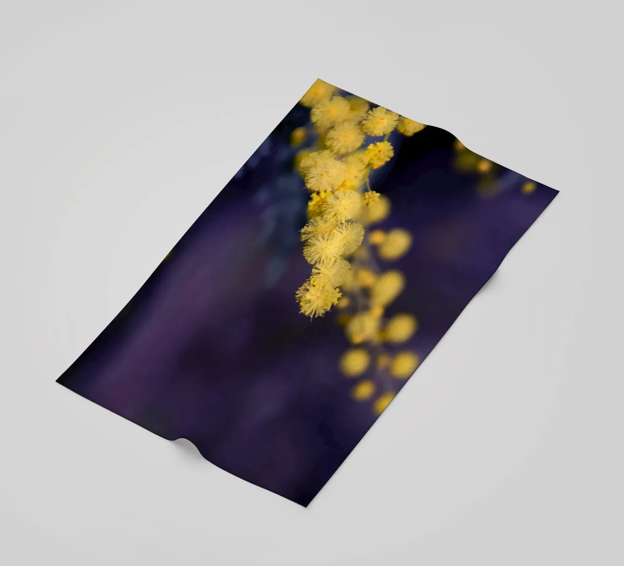 Fiore di mimosa di notte telo mare da Teresa André