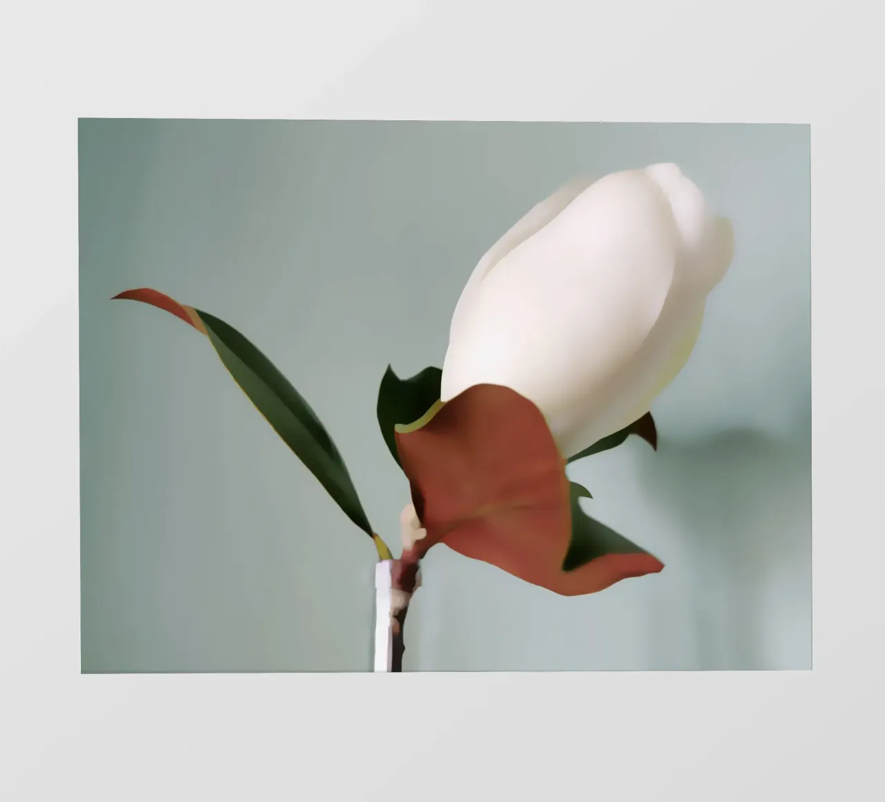 Magnolia Bud telo in pvc da Angelo Cerantola