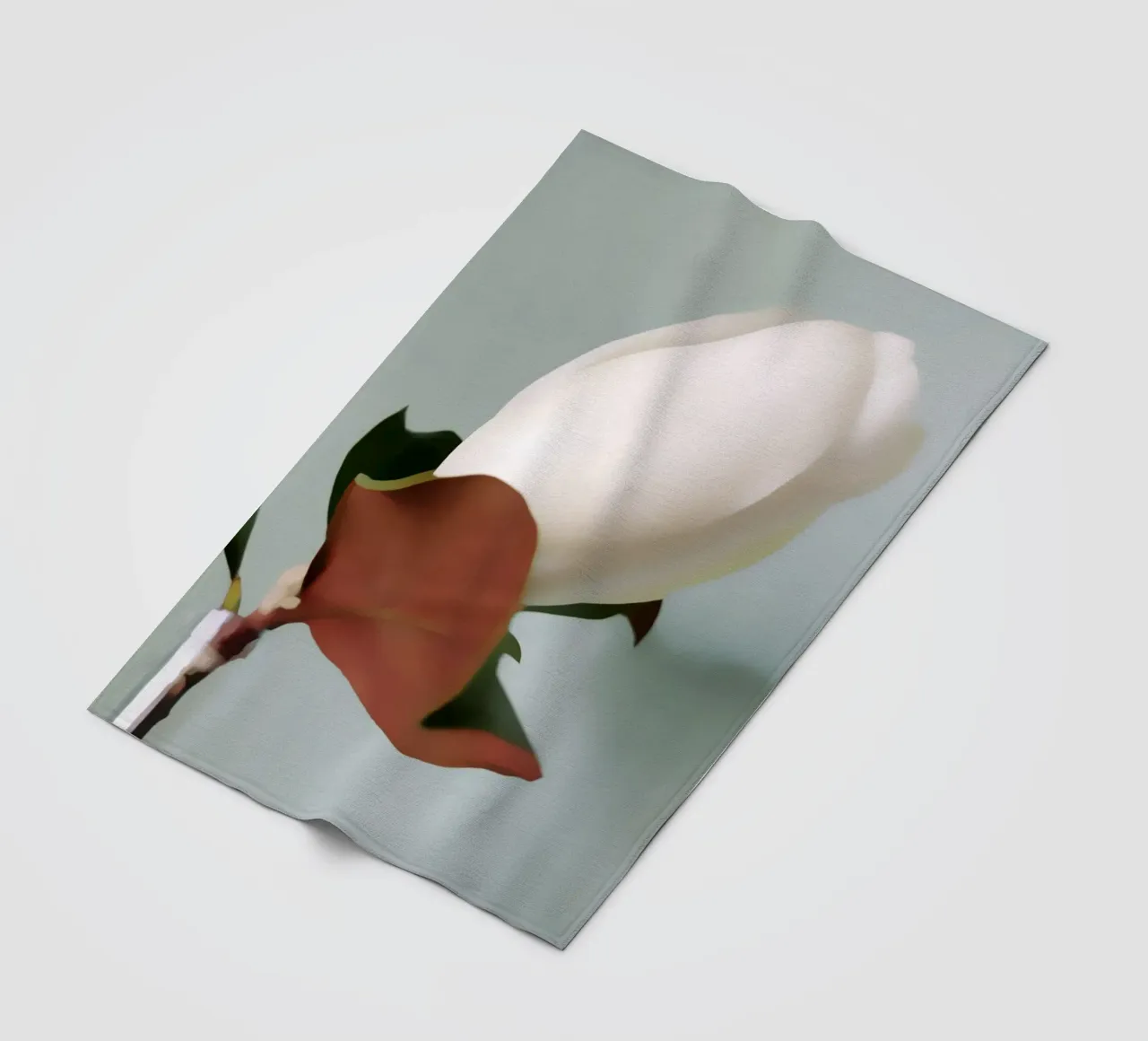 Magnolia Bud coperta in pile da Angelo Cerantola