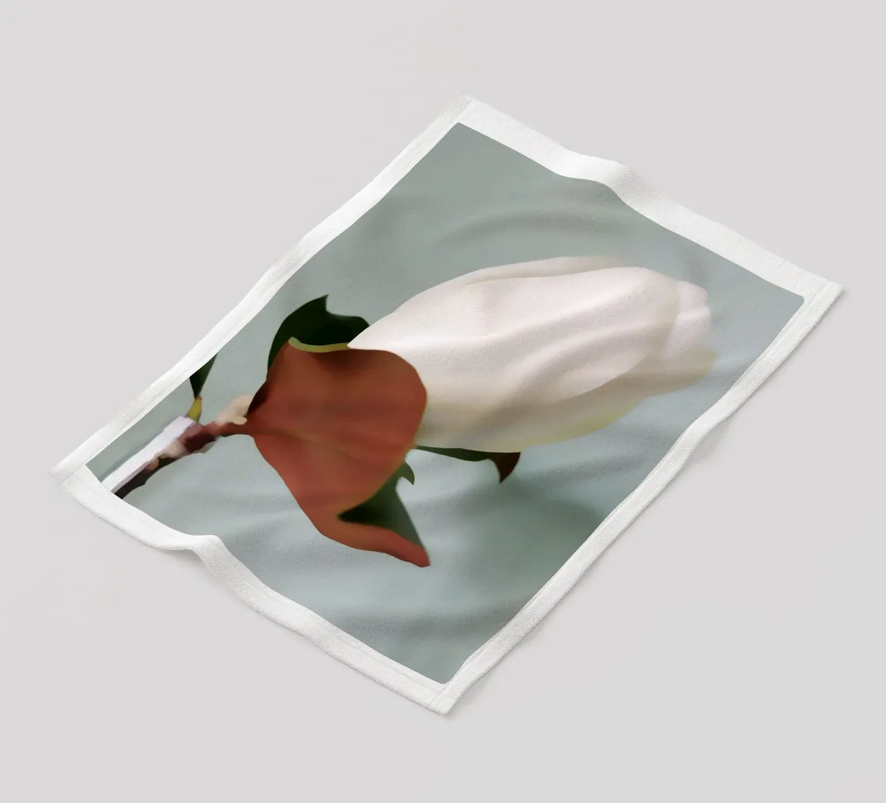 Magnolia Bud coperta in pile da Angelo Cerantola