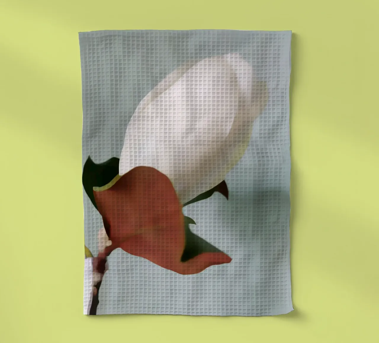 Magnolia Bud canovaccio da cucina da Angelo Cerantola