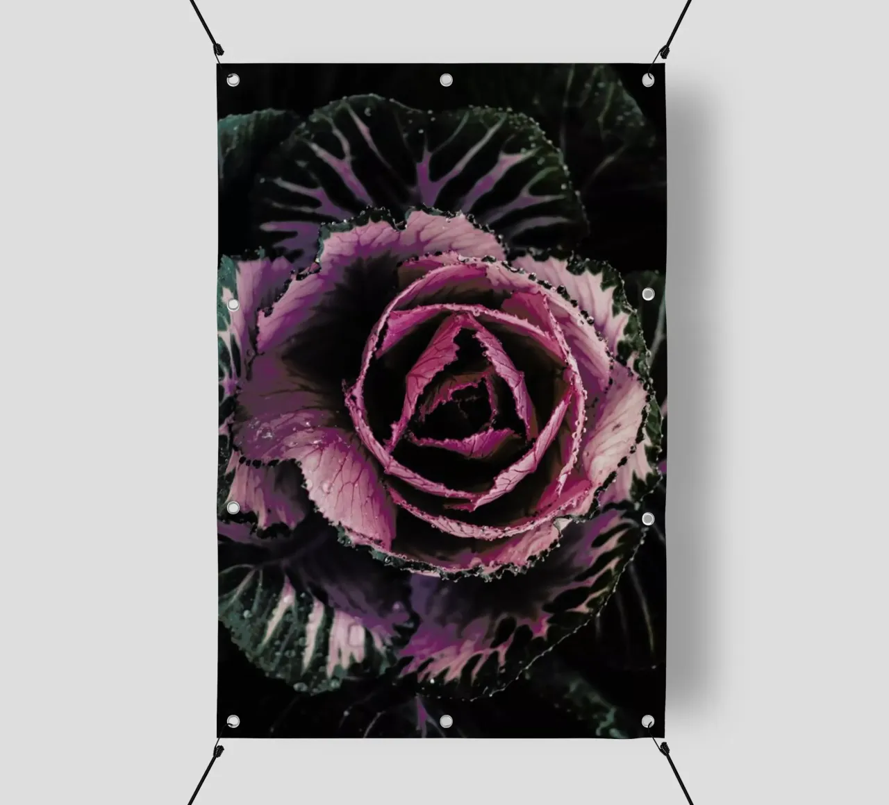 Pink Rosette telo in pvc da Ingrid Beddoes