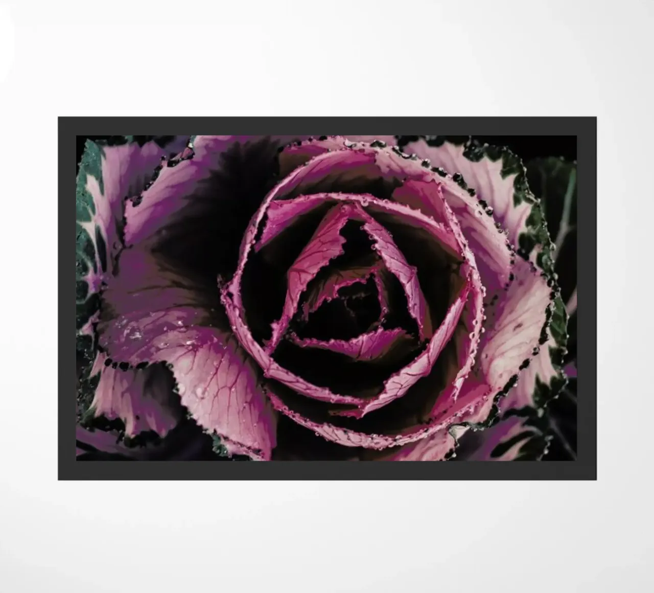 Pink Rosette zerbino da Ingrid Beddoes