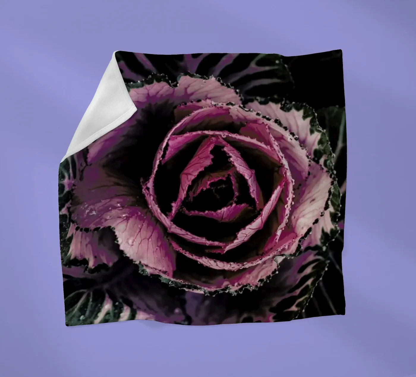 Pink Rosette Fleecedecke von Ingrid Beddoes