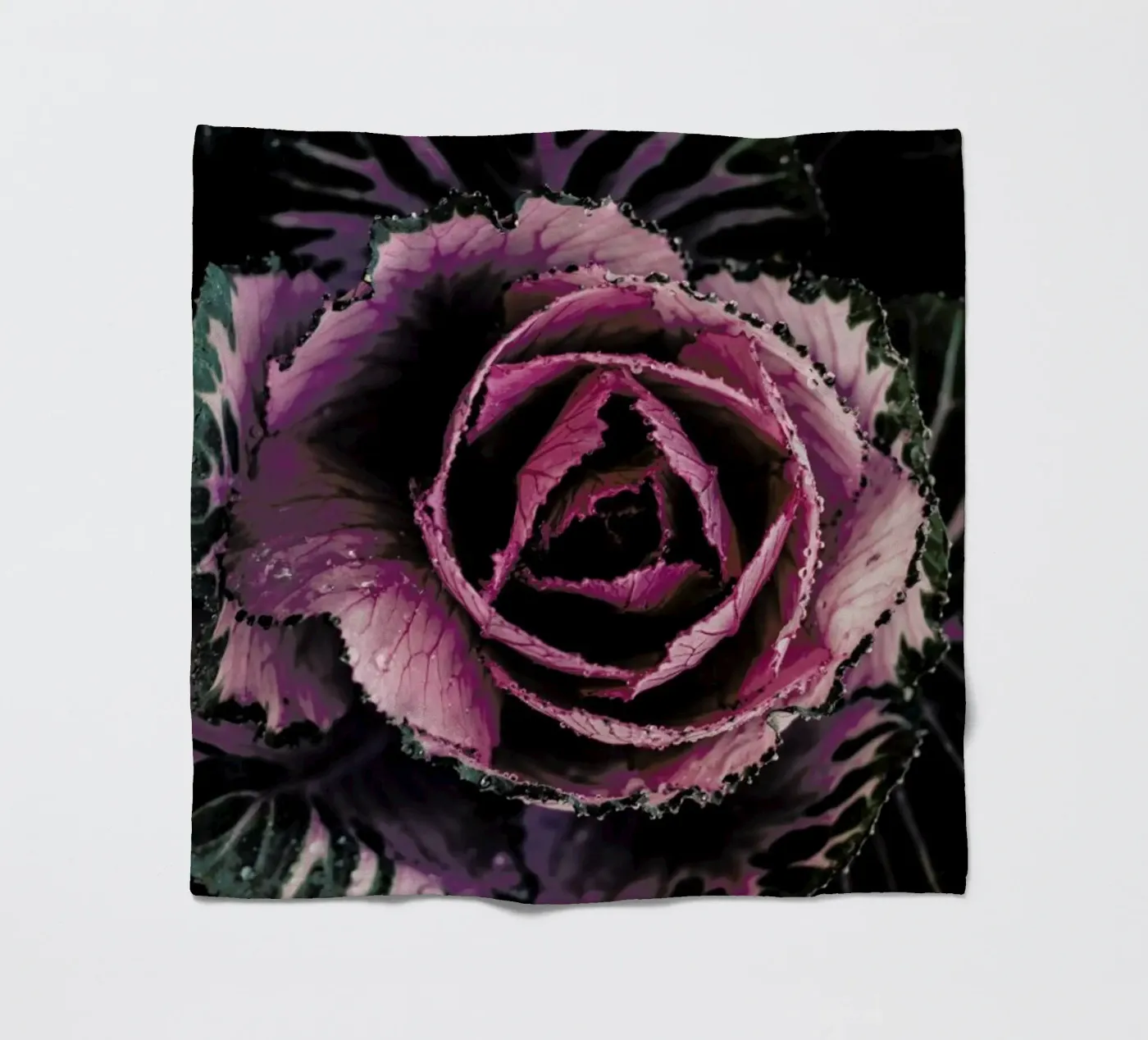 Pink Rosette Fleecedecke von Ingrid Beddoes