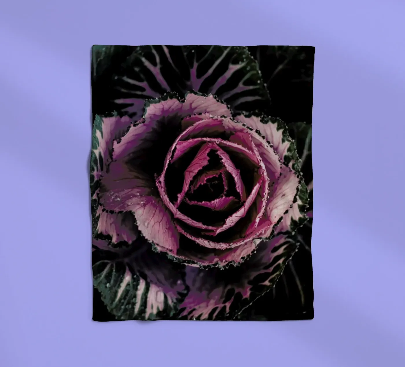 Pink Rosette Fleecedecke von Ingrid Beddoes