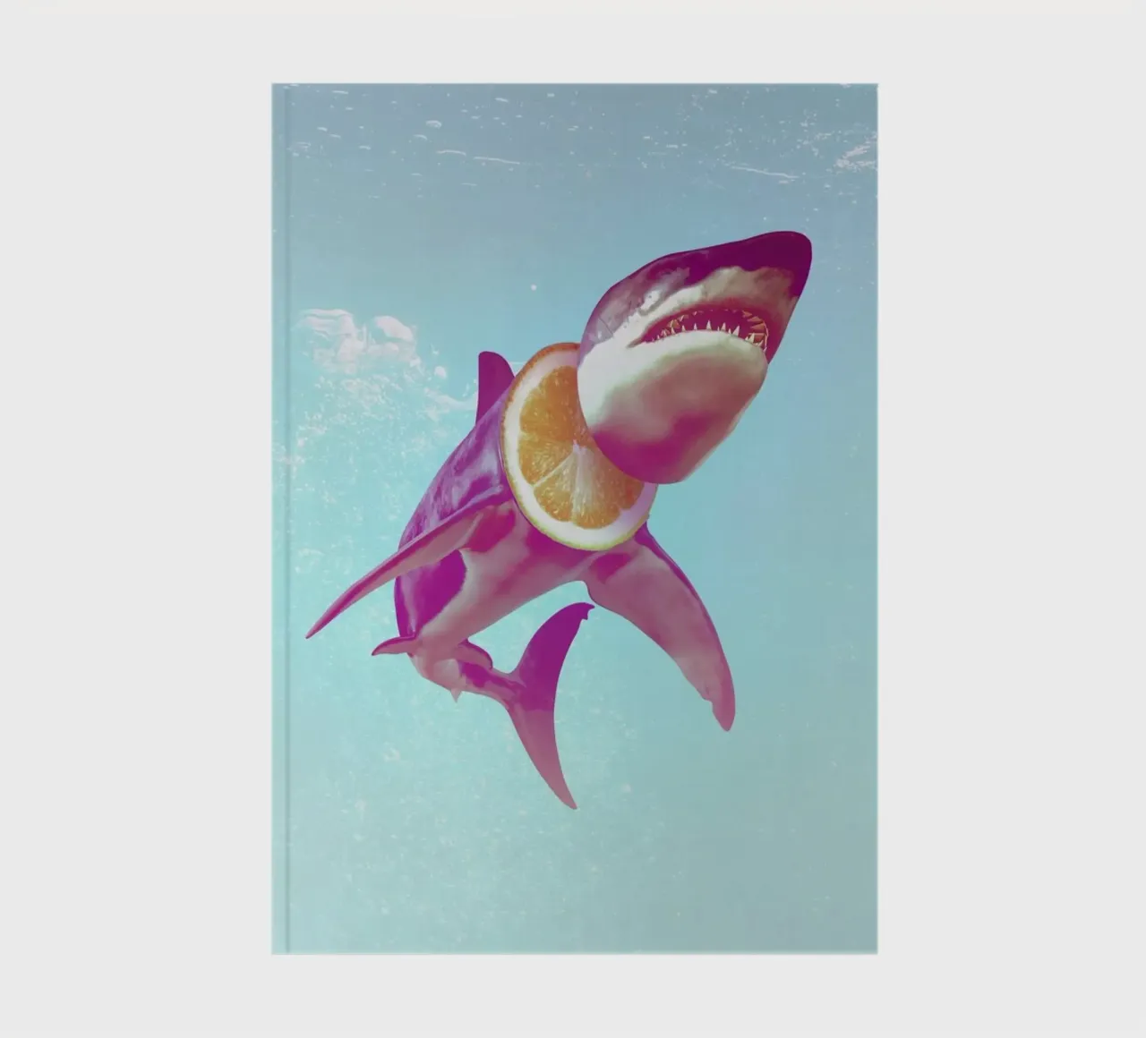 Lemon Shark notebook by Ali Gulec
