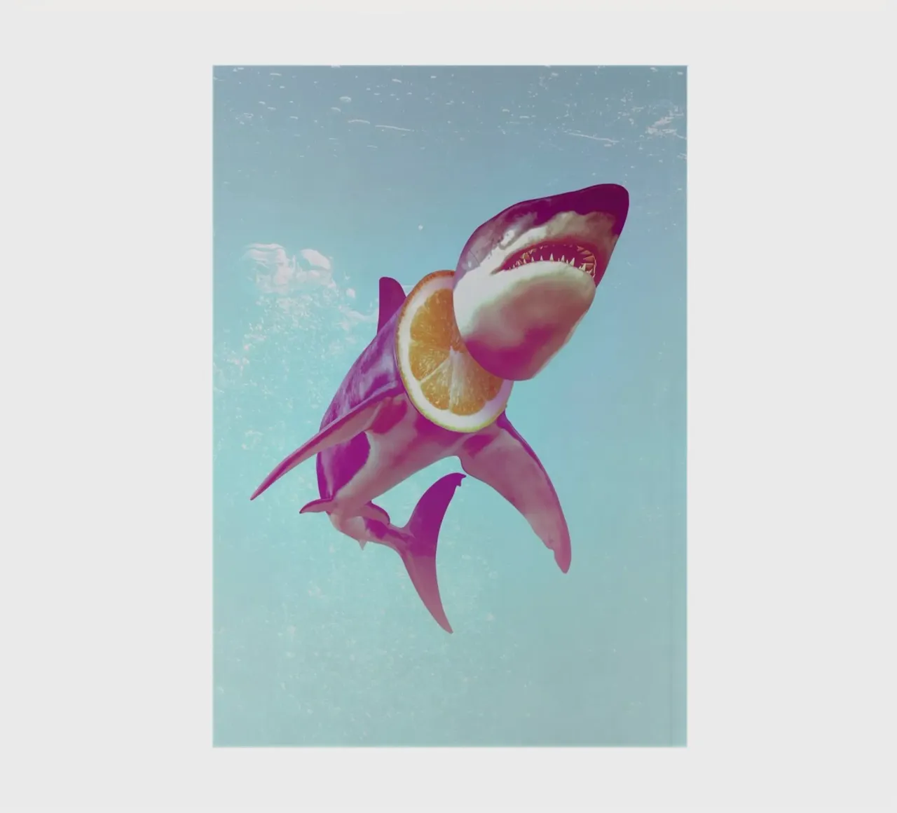 Lemon Shark notebook by Ali Gulec