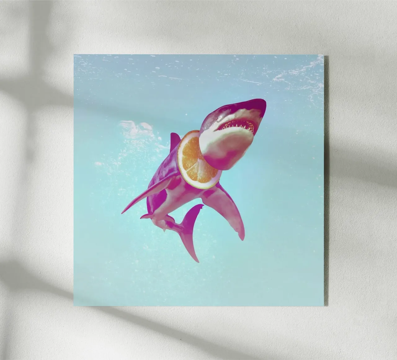 Lemon Shark plexiglass da Ali Gulec