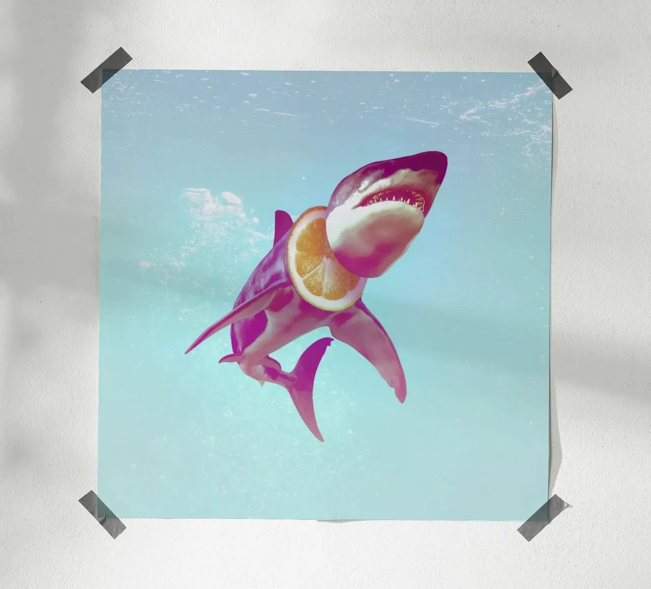 Lemon Shark poster da Ali Gulec