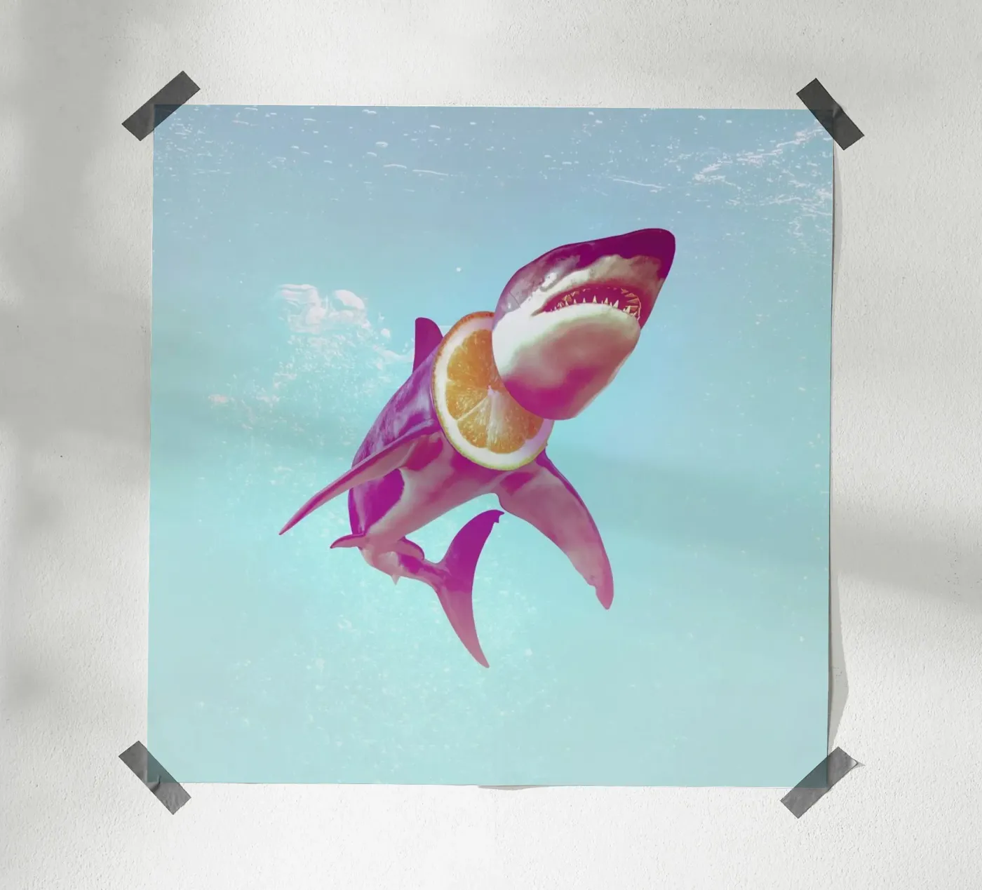 Lemon Shark poster da Ali Gulec