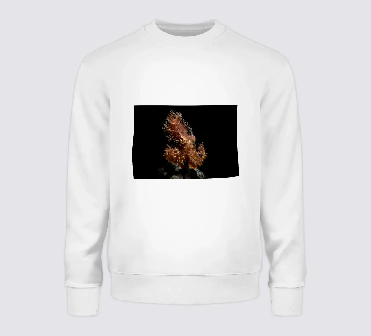 Subacquei e sommozzatori felpa da Eames