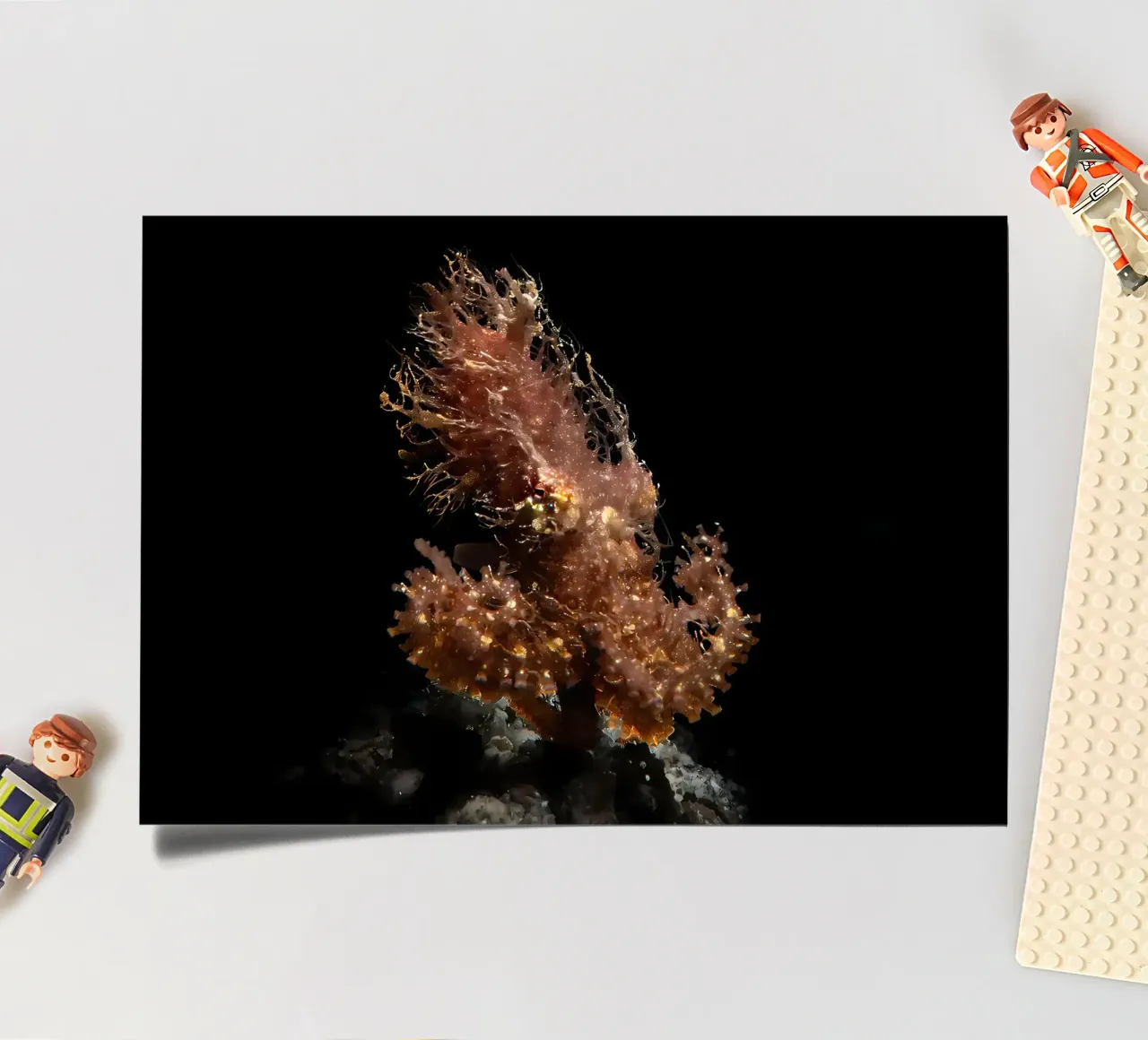 Tiefseetaucher und Taucher Stickerbogen von Eames
