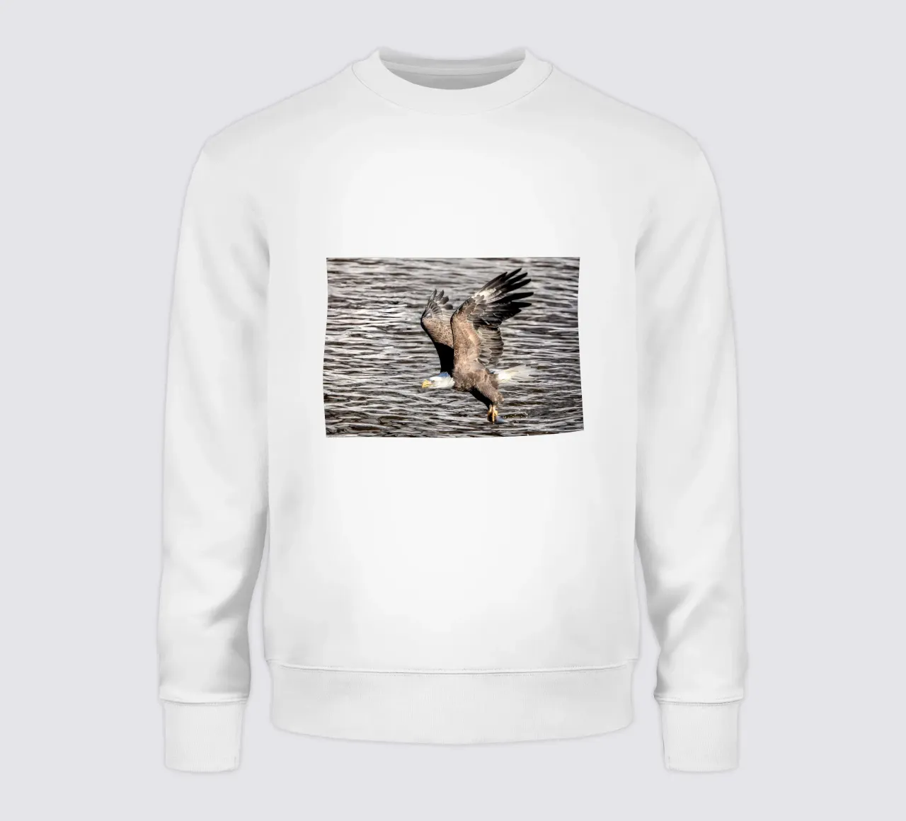 Coffee Dive sweatshirt by Eames